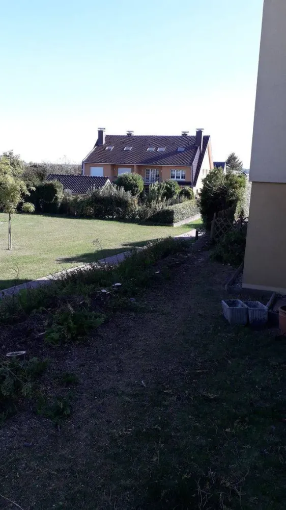 Dessouchage arbre